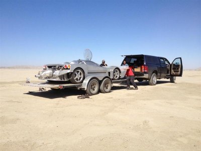 Sea Lion at El Mirage 5.26.13 011 (Large).jpg