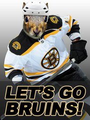 Lets go Bruins.jpg