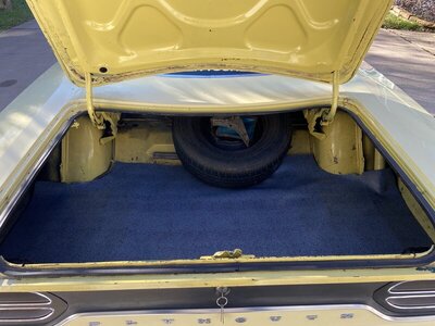 Trunk Mat in PLace.jpg