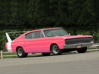 66 winger pink.jpg